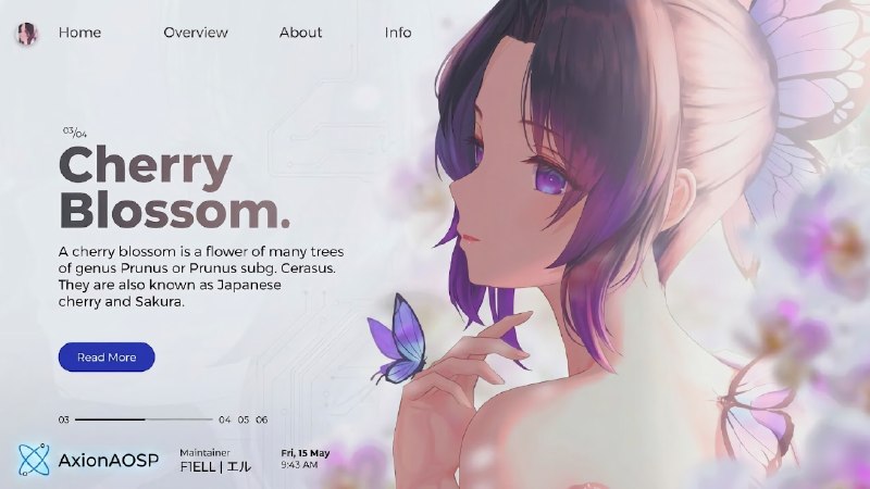 cover