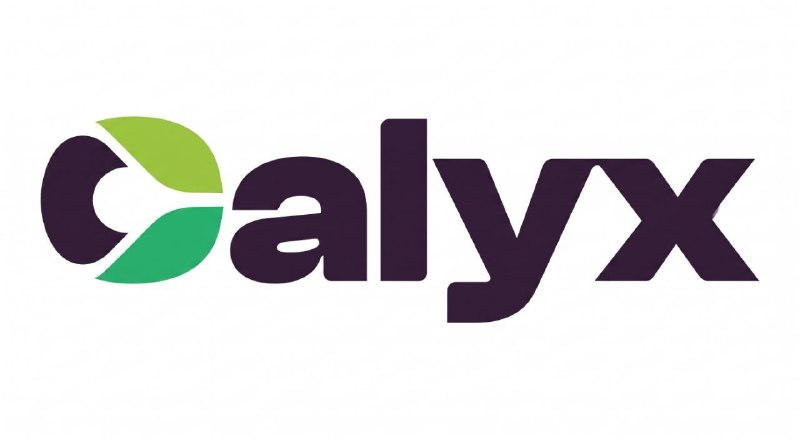 CalyxOS 17